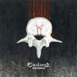 VERTEBRAE VINYL (2LP)