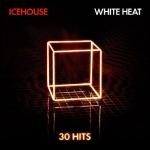 WHITE HEAT: 30 HITS (2CD+DVD O-CARD)