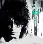 PAGAN PLACE VINYL (LP)