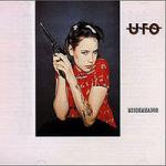 MISDEMEANOR VINYL (2LP)