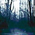 STILL (CD)