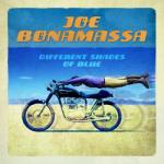 DIFFERENT SHADES OF BLUE (CD)