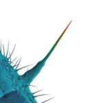 AND I’LL SCRATCH YOURS (CD)