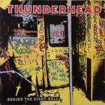 BEHIND THE EIGHT BALL VINYL (LP)