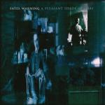 A PLEASANT SHADE OF VINYL RE-ISSUE (2LP BLACK)