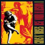 USE YOUR ILLUSION I VINYL (2LP)