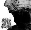 THE TRUTH (CD)