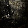 MORT (CD O-CARD)