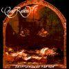 DESTRUCTION OF THE VOID RE-RELEASE (CD)