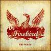 HOT WINGS (CD)