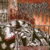 INSANE DELIRIUMS (CD)