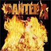 REINVENTING THE STEEL (CD)