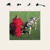 SIGNALS REMASTERED (CD)