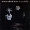 FLOODLAND EXPANDED & REMASTERED (DIGI)