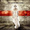 SIGNAL TO NOISE (CD U.S. IMPORT)
