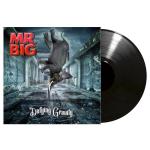 DEFYING GRAVITY VINYL (LP BLACK)