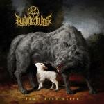 DEAR DESOLATION (CD)