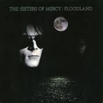 FLOODLAND VINYL RE-ISSUE (LP)