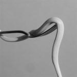 PARRHESIA OPAQUE PINK VINYL (LP)