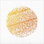 BEAUTIFUL DISTORTION LTD. EDIT. (DIGI)