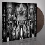 HOLLOW VOID MARBLED VINYL (LP)