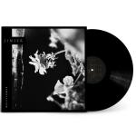 WALLFLOWERS VINYL (LP BLACK)