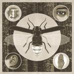 BRIGHTEN COLOURED VINYL (LP US-IMPORT)