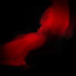 DANCING INTO OBLIVIAN (CD)