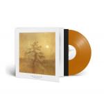 SONGS OF MOORS AND MISTY FIELDS ORANGE VINYL (LP)