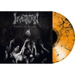 VANQUISH IN VENGEANCE ORANGE/ BLACK VINYL REISSUE (LP)