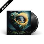 LOOK AT YOU NOW VINYL (2LP BLACK)