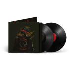 IN TIMES NEW ROMAN VINYL (2LP)