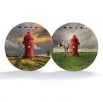 SIGNALS 40 ANNIVERS. PICTURE VINYL (LP PIC)