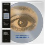LOOK AT YOURSELF PICTURE VINYL REISSUE (LP PIC)