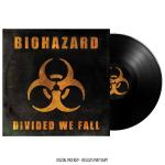 DIVIDED WE FALL VINYL (LP BLACK)