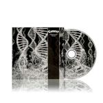 DISSONANCE THEORY (CD)