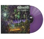 DARK SUPERSTITION PURPLE VINYL (LP)