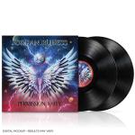 PERMISSION TO FLY VINYL (2LP BLACK)