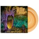 IN THE JAWS OF BEREAVEMENT BONE BEER VINYL (LP)