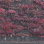 EVEN IN ARCADIA (CD)