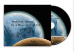 VIOLENCE INSANE IN A BEAUTIFUL WORLD (CD)