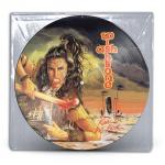 RAW TO THE BONE REMASTERED PICTURE VINYL (LP)