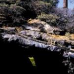 WORLD CLASS LISTENING PROBLEM (CD US-IMPORT)