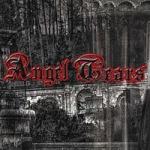 ANGEL TEARS (CD)