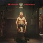 MICHAEL SCHENKER GROUP VINYL (2LP)