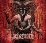 ZOS KIA CULTUS RE-ISSUE (CD)