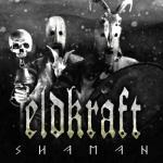 SHAMAN (CD)