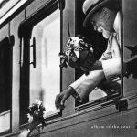 ALBUM OF THE YEAR (CD)