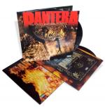 REINVENTING THE STEEL VINYL (LP)