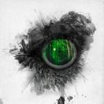 EMERAL FOREST AND THE BLACKBIRD (CD)